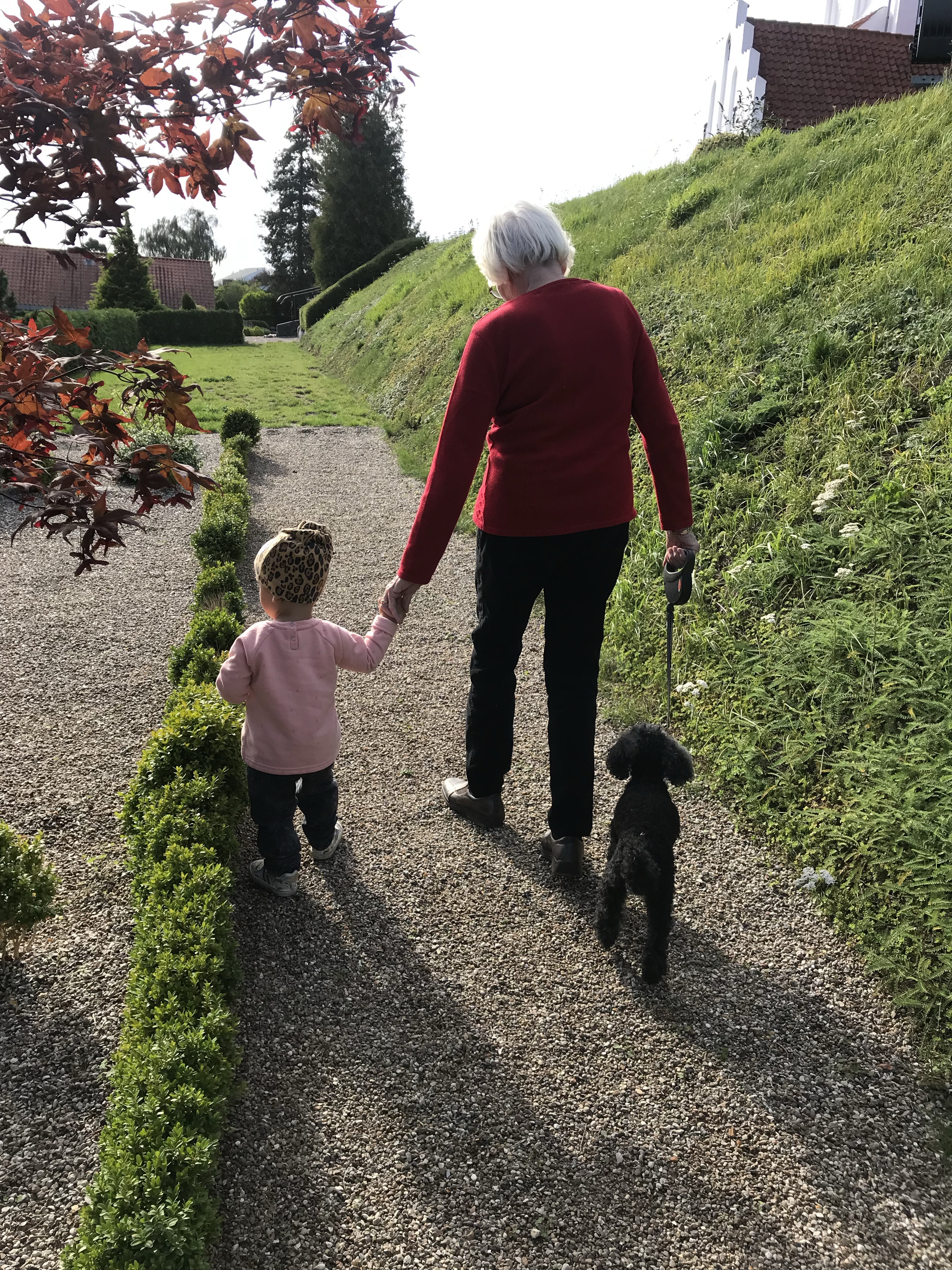 Person Centered Planning & Advocacy